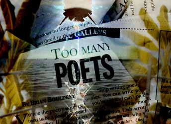 too many poets 1a