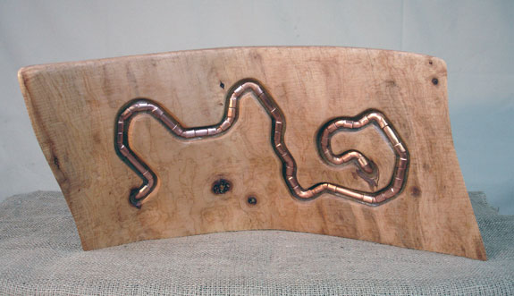 Worm in the Wood  view 1