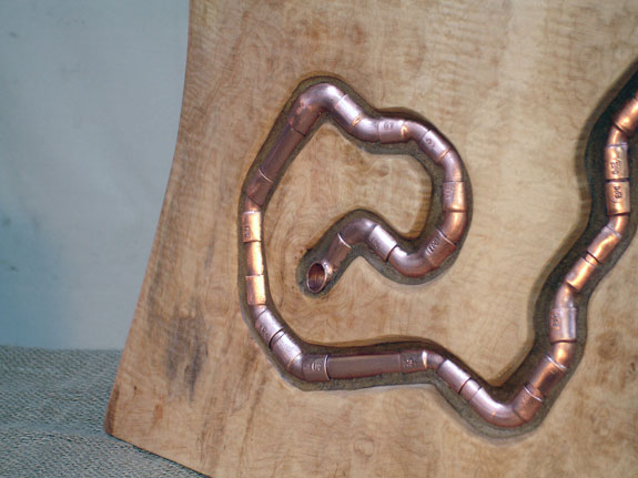 Worm in the Wood  view 4