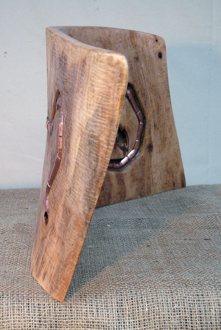 Worm in the Wood  view 5