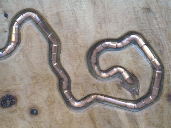 Worm in the Wood  view 6