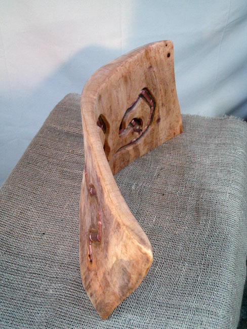 Worm in the Wood  view 6